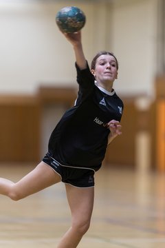 Bild 274 - wBJ TSV Ellerau - HSG Stoertal Hummeln : Ergebnis: 26:19